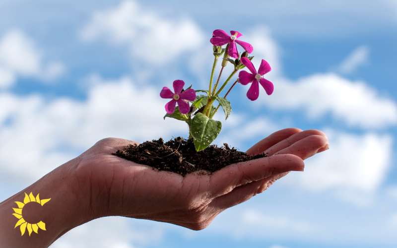 Personalised approach to your growth journey